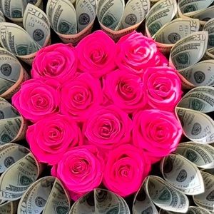 Meet your Posher, Sasha